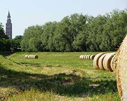 campagna